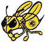 killer_bees logo