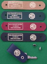 Key Fobs in color