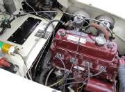 57 Sebring MGA #51
