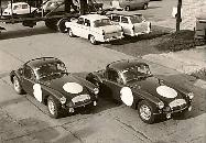 61 Sebring MGAs on the race date