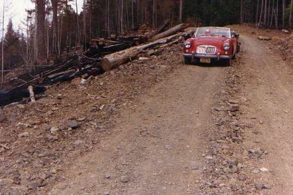 Logging road in Oregon